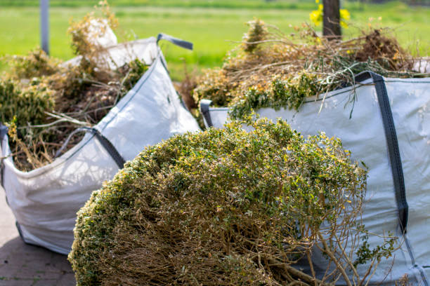 Professional Junk Removal in Worland, WY
